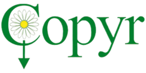 logo copyr